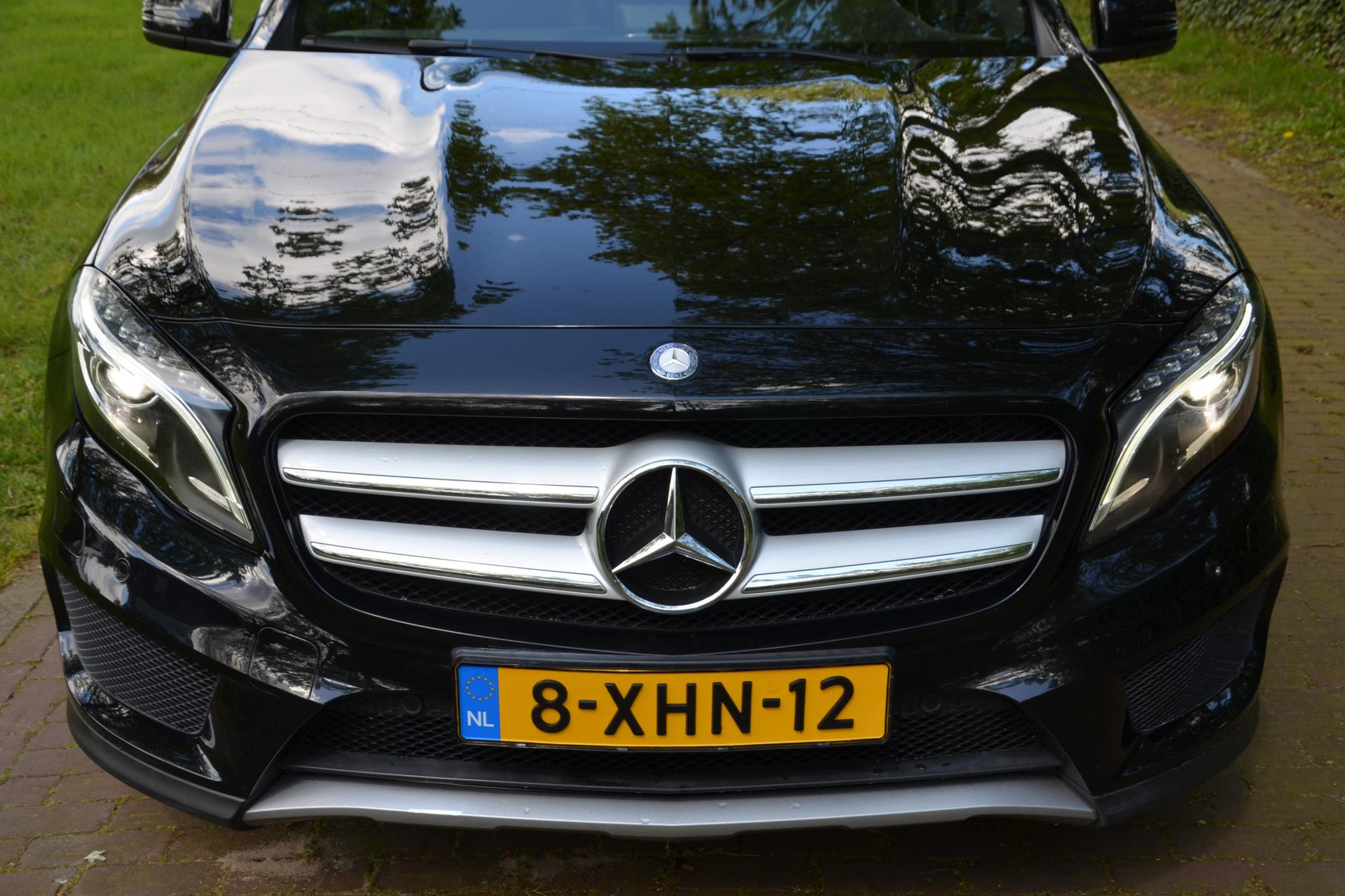 38168643-23.jpg